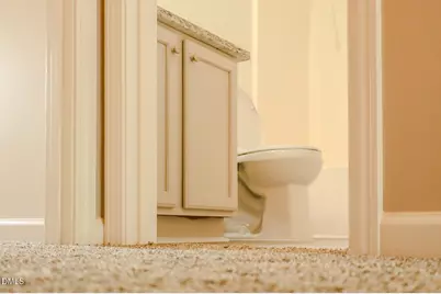 3211 Ivey Wood Lane, Durham, NC 27703 - Photo 12