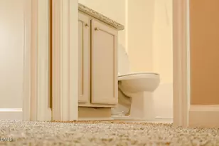 3211 Ivey Wood Ln, Durham, NC 27703 - Photo 12