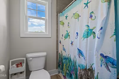 255 Ravens Row Drive, Benson, NC 27504 - Photo 24