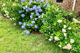 100 Blackberry Creek Dr, Willow Springs, NC 27592 - Photo 40