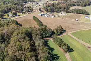 7477 N Nc 58, Castalia, NC 27816 - Photo 30