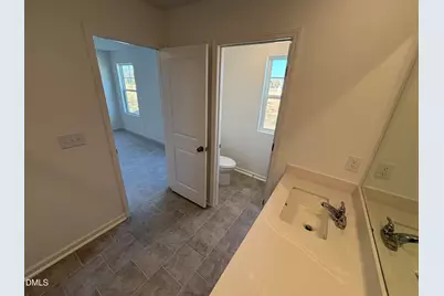142 Blossom Field Way, Angier, NC 27501 - Photo 48