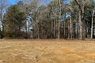 16 Alex Acres Way, Selma, NC 27576 - Photo 18