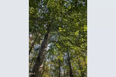 1417 Poinsett Drive, Chapel Hill, NC 27517 - Photo 8