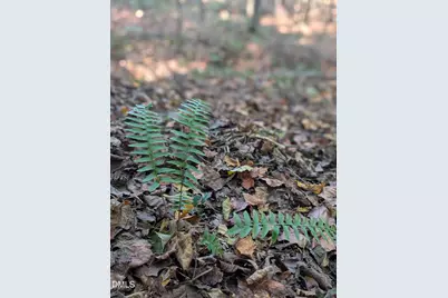 1417 Poinsett Drive, Chapel Hill, NC 27517 - Photo 6