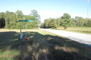 7 69 Acres Nc 561 Hwy, Louisburg, NC 27549 - Photo 1