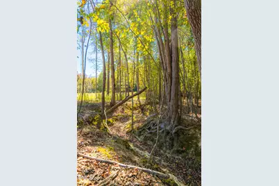 185 Larkington Drive, Siler City, NC 27344 - Photo 14