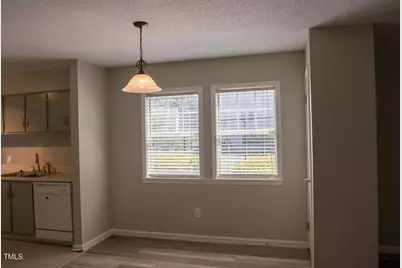 243 Schultz Street, Chapel Hill, NC 27514 - Photo 8