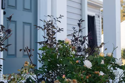 8950 Shallow Creek Trail, Bailey, NC 27807 - Photo 30