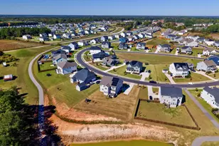 254 Dungannon Loop, Clayton, NC 27520 - Photo 52