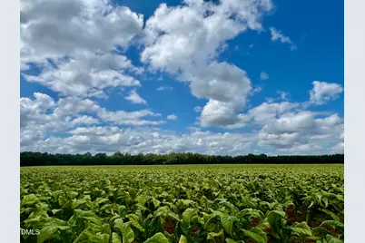 9427 Byron Court #Lot 211, Bailey, NC 27807 - Photo 38