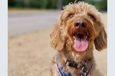 620 Hedrick Rdg Road #108, Cary, NC 27519 - Photo 30