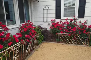 2811 Omah St, Durham, NC 27705 - Photo 50