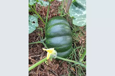 2811 Omah Street, Durham, NC 27705 - Photo 70