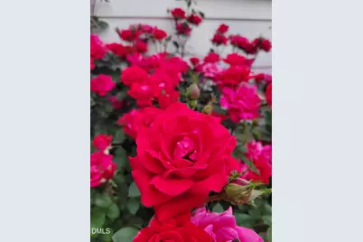 2811 Omah Street, Durham, NC 27705 - Photo 62