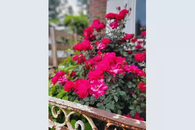 2811 Omah Street, Durham, NC 27705 - Photo 42