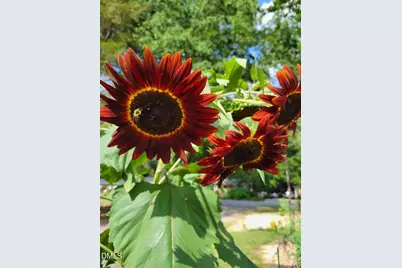 2811 Omah Street, Durham, NC 27705 - Photo 58