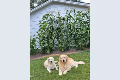 2811 Omah Street, Durham, NC 27705 - Photo 54