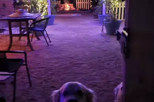 2811 Omah St, Durham, NC 27705 - Photo 66