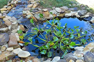 2008 Herbert Akins Rd, Fuquay Varina, NC 27526 - Photo 40