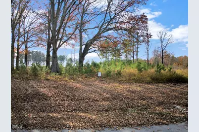 73 Pinnacle Shores Drive, Macon, NC 27551 - Photo 10