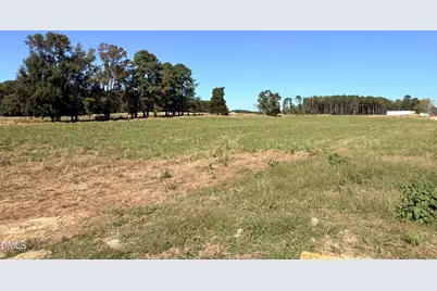 9714 Cattle Field Drive, Spring Hope, NC 27882 - Photo 6