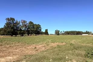 9714 Cattle Field Dr, Spring Hope, NC 27882 - Photo 6