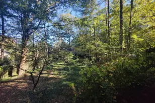 5008 Butternut Rd, Durham, NC 27707 - Photo 60