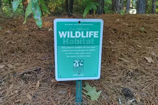 5008 Butternut Rd, Durham, NC 27707 - Photo 66