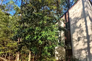 5008 Butternut Rd, Durham, NC 27707 - Photo 68