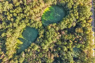 8794 Old 421 Rd, Julian, NC 27283 - Photo 22