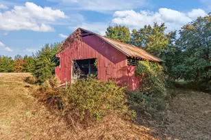 8794 Old 421 Rd, Julian, NC 27283 - Photo 24
