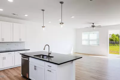 56 Twin Birch Drive, Angier, NC 27501 - Photo 26