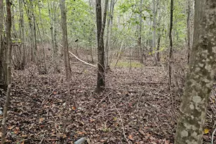 0 Gilliland St, Warrenton, NC 27589 - Photo 1