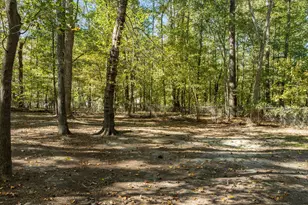 9909 Leslie Dr, Chapel Hill, NC 27516 - Photo 38