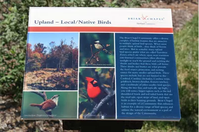 366 Granite Mill Boulevard, Chapel Hill, NC 27516 - Photo 68