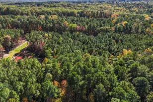 15 Marlowe Dr, Youngsville, NC 27596 - Photo 40