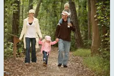 3628 Jamison Park Drive, Apex, NC 27539 - Photo 56