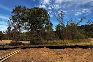 127 Elm Grv Ave, Fuquay Varina, NC 27526 - Photo 8