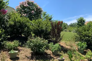 536 Pilot Hill Dr, Morrisville, NC 27560 - Photo 22