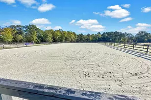 8589 McGhees Mill Rd, Semora, NC 27343 - Photo 48