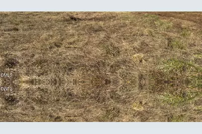 00 Ephesus Church Road, Semora, NC 27343 - Photo 20