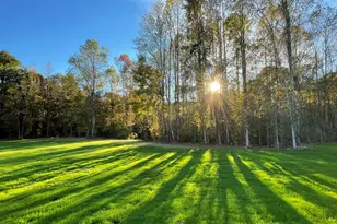 386 Bonsai Wy, Four Oaks, NC 27524 - Photo 18