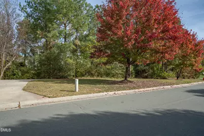 1129 Pebble Creek Crossing, Durham, NC 27713 - Photo 34