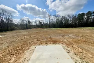 52 Grace Pond Ave, Benson, NC 27504 - Photo 20