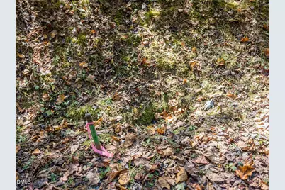 0 Old Lystra Road, Chapel Hill, NC 27517 - Photo 12