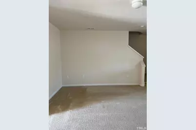 1118 Kudzu Street, Durham, NC 27713 - Photo 8