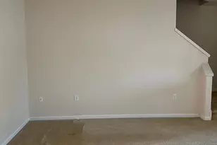 1118 Kudzu St, Durham, NC 27713 - Photo 8