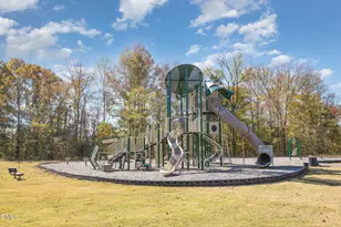 102 Cultivar St, Oxford, NC 27565 - Photo 30