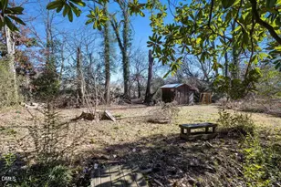 914 Rosehill Ave, Durham, NC 27705 - Photo 32